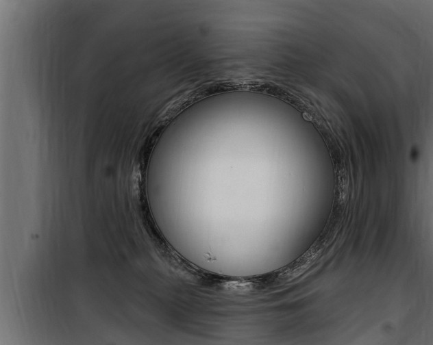 X0000100780279200806191024