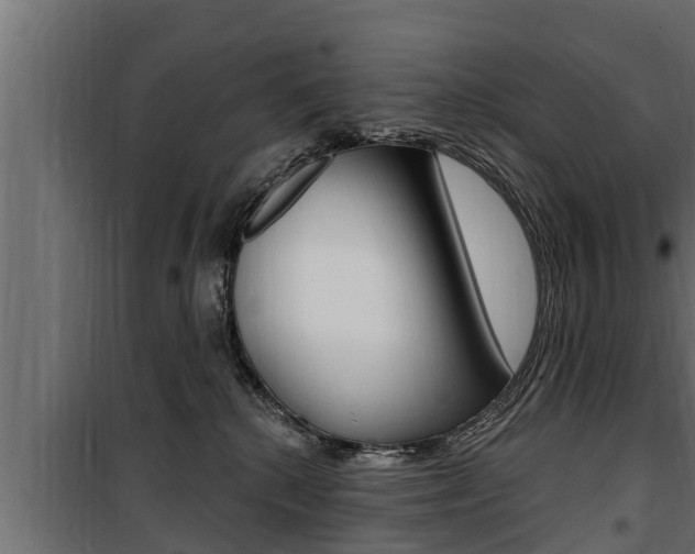 X0000100780280200806191024