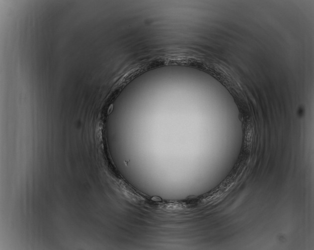 X0000100780282200806191024