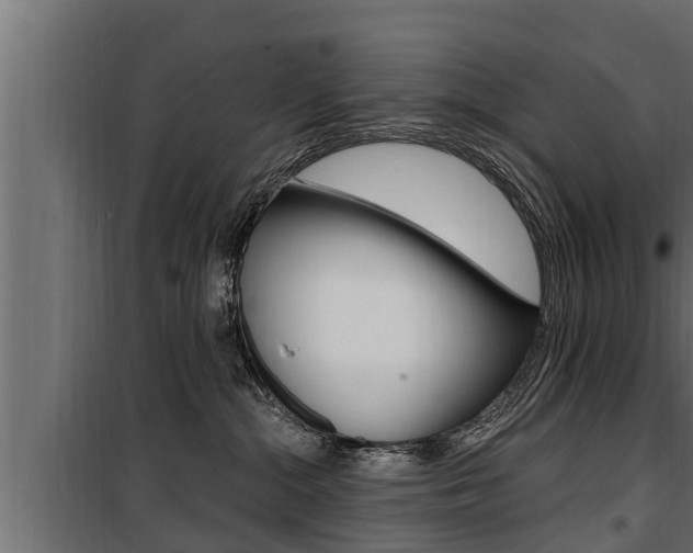 X0000100780284200806191024