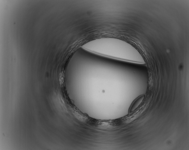 X0000100780285200806191024