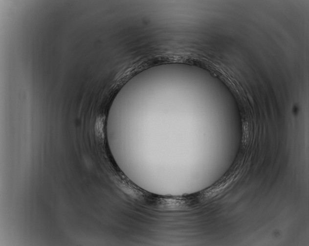 X0000100780286200806191024