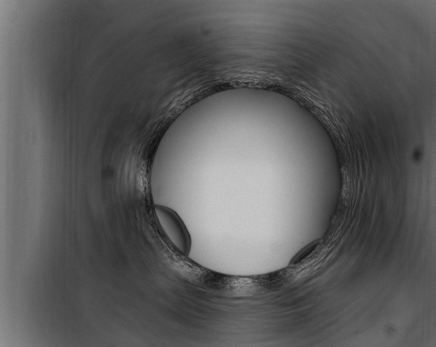 X0000100780287200806191024