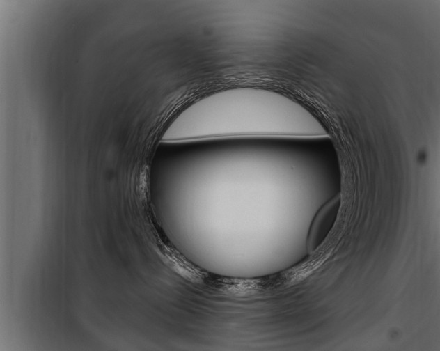 X0000100780288200806191024