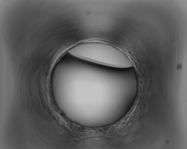 X0000100780289200806191023