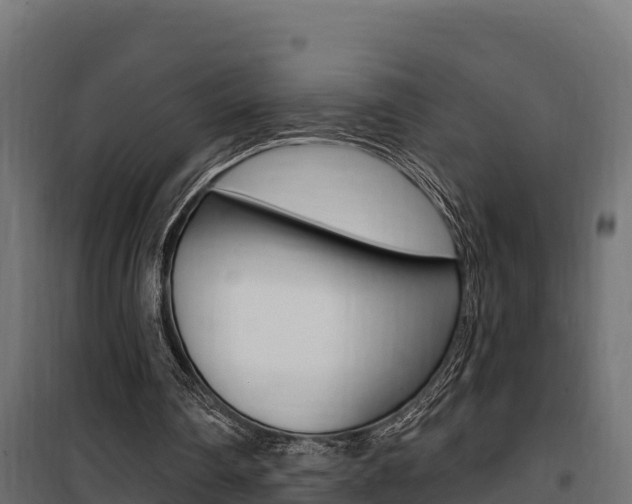 X0000100780290200806191023