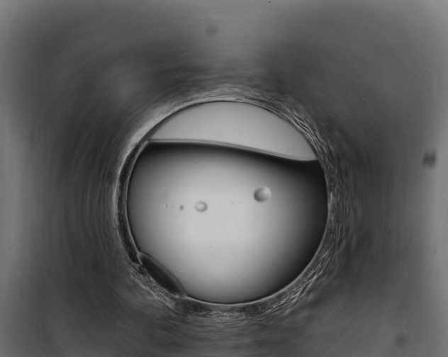 X0000100780292200806191023