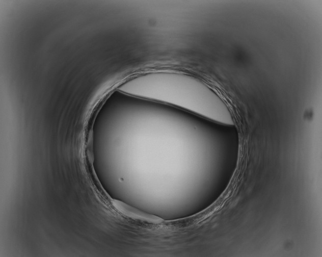 X0000100780293200806191023