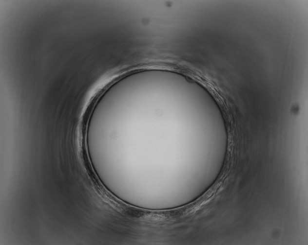 X0000100780294200806191023