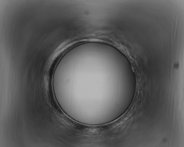 X0000100780295200806191023