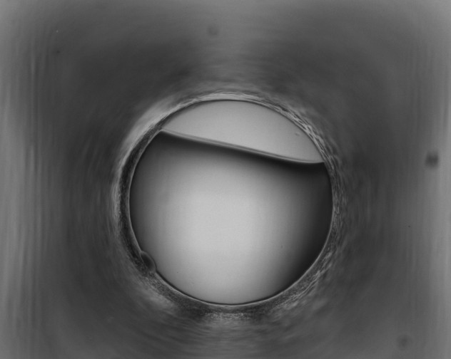 X0000100780296200806191023