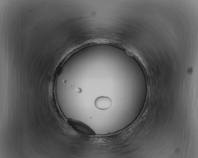 X0000100780297200806191023