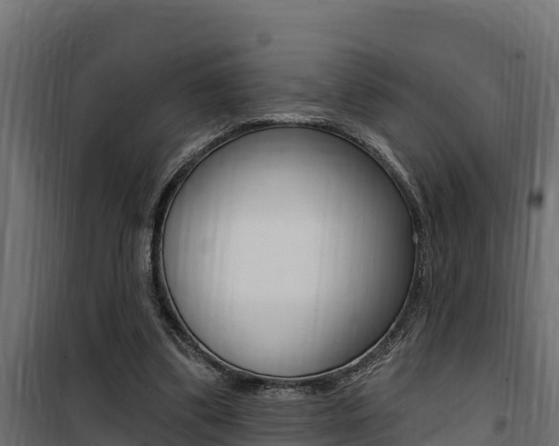 X0000100780299200806191023