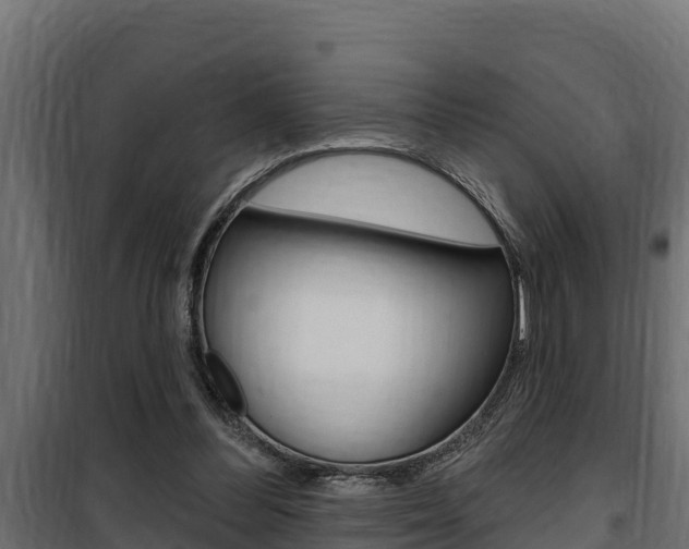 X0000100780300200806191023