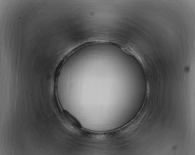 X0000100780301200806191023