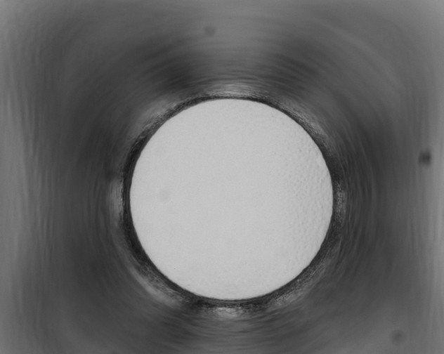 X0000100780302200806191023