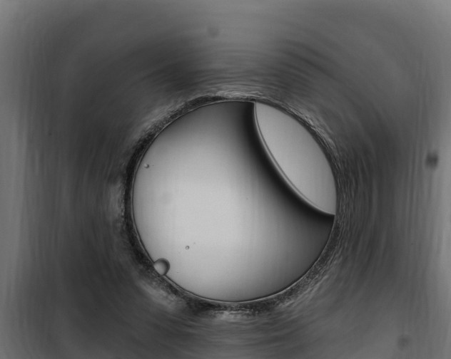 X0000100780303200806191023