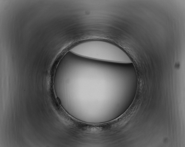 X0000100780304200806191023