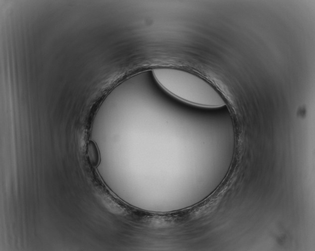 X0000100780305200806191023