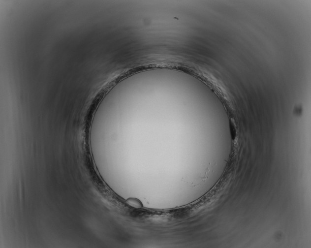 X0000100780306200806191023