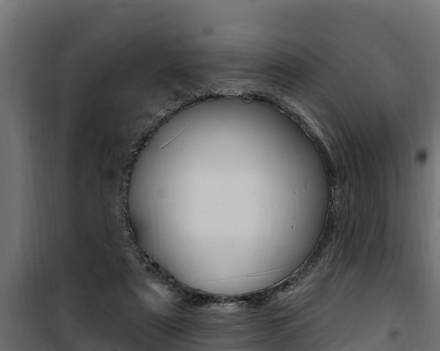 X0000100780307200806191023