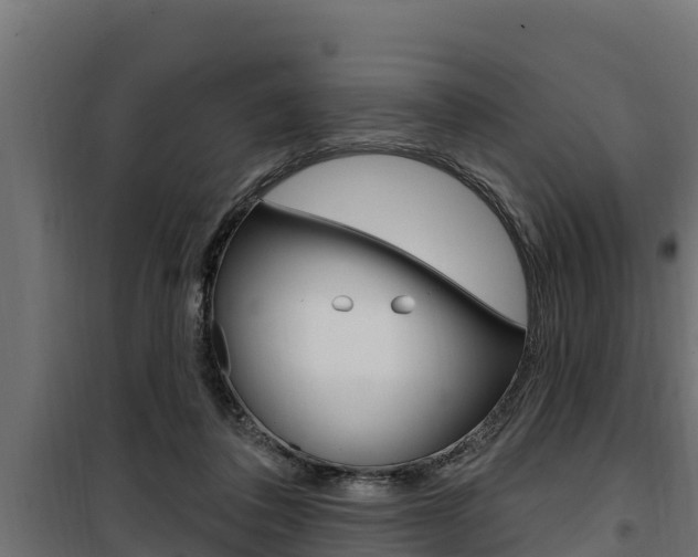 X0000100780308200806191023