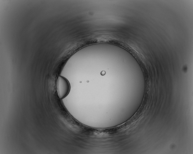 X0000100780311200806191023