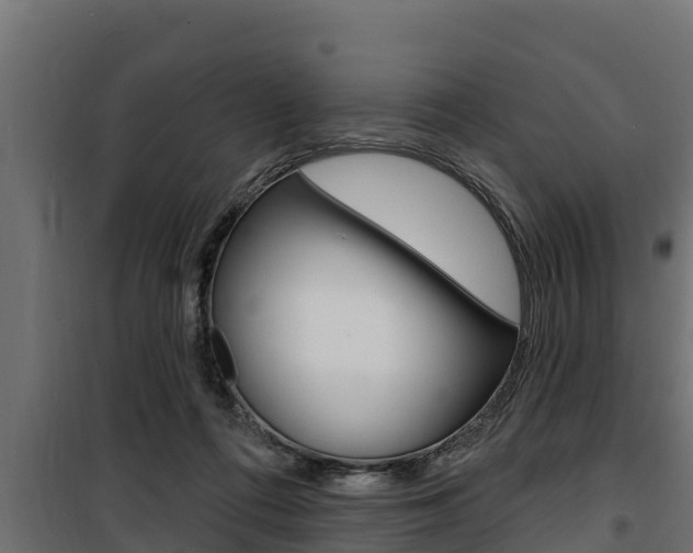 X0000100780312200806191023