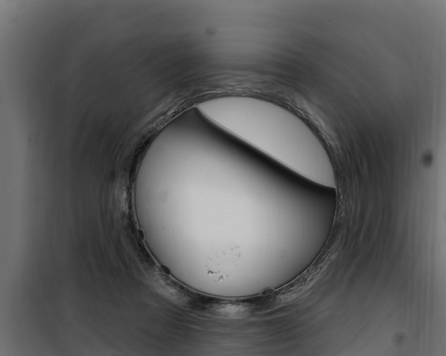 X0000100780313200806191023