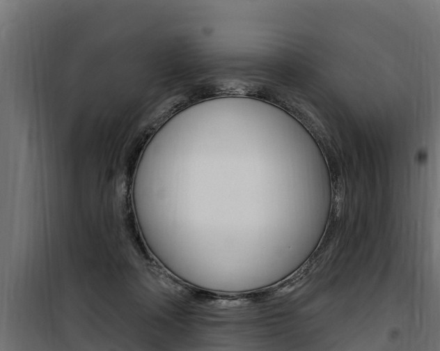 X0000100780314200806191023