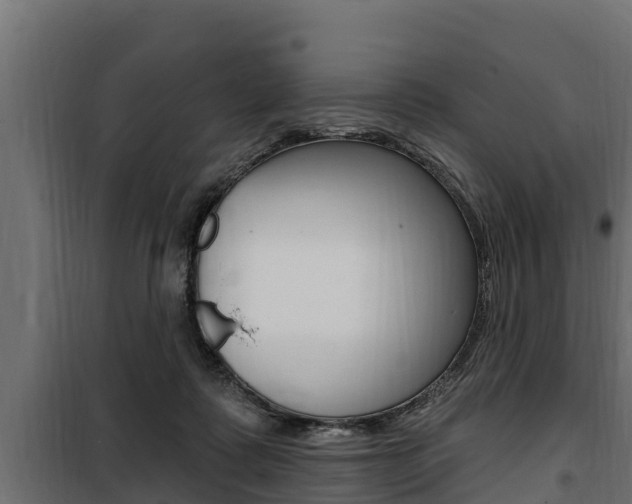 X0000100780315200806191023