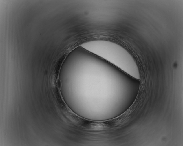 X0000100780316200806191023