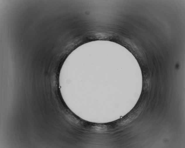 X0000100780317200806191023