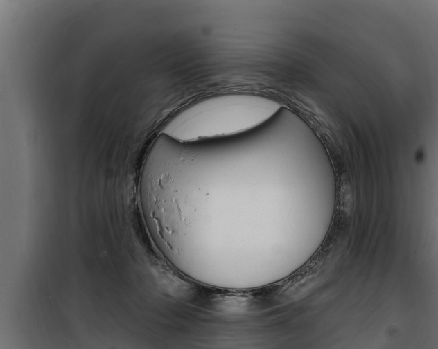 X0000100780318200806191023