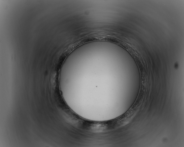 X0000100780319200806191023