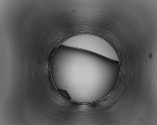 X0000100780320200806191023