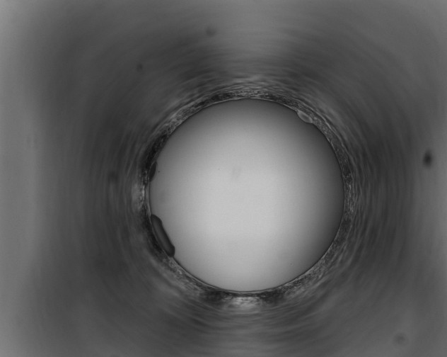 X0000100780324200806191023