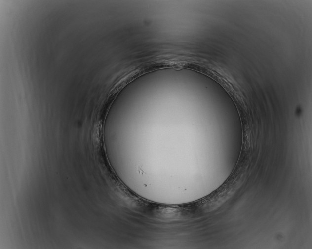 X0000100780325200806191023