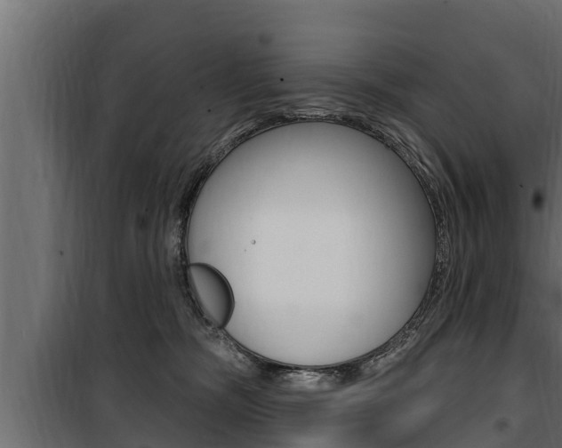 X0000100780326200806191023