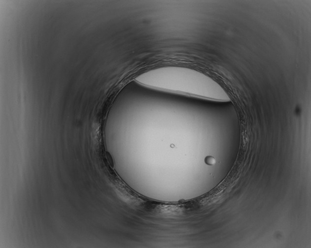 X0000100780327200806191023