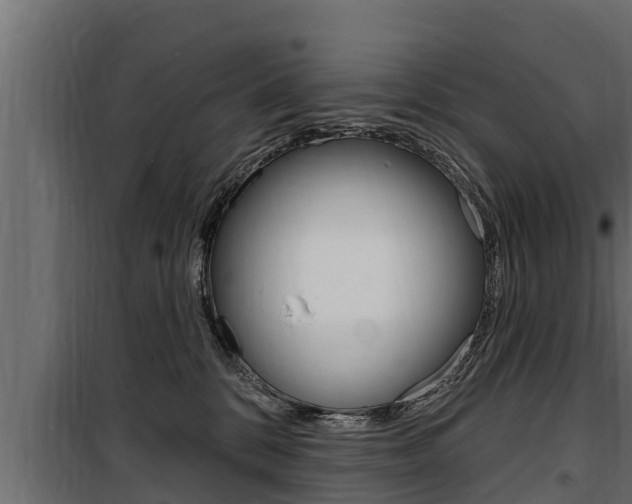 X0000100780328200806191023