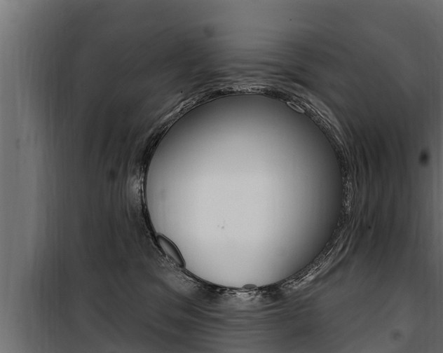 X0000100780329200806191023