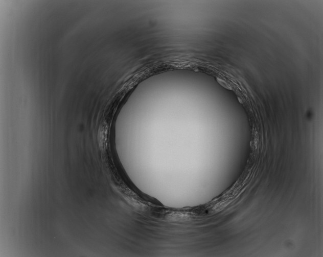 X0000100780332200806191023