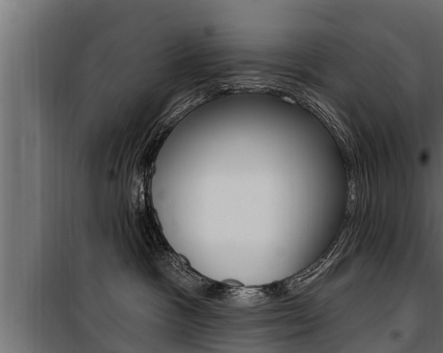 X0000100780333200806191023