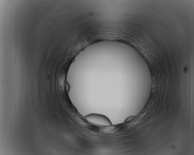 X0000100780334200806191023