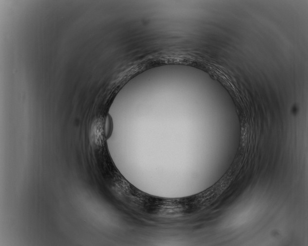 X0000100780335200806191023