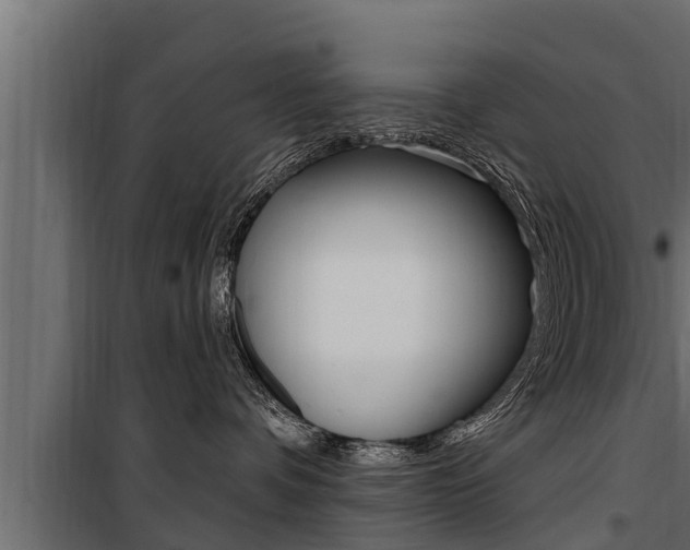 X0000100780336200806191023