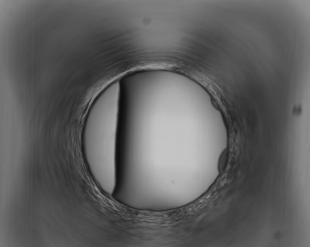 X0000100780337200806191022