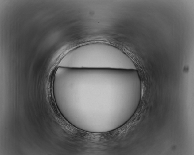 X0000100780339200806191022