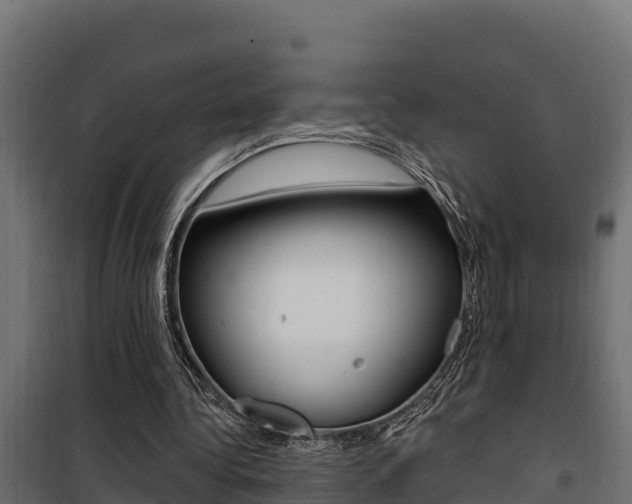 X0000100780340200806191022